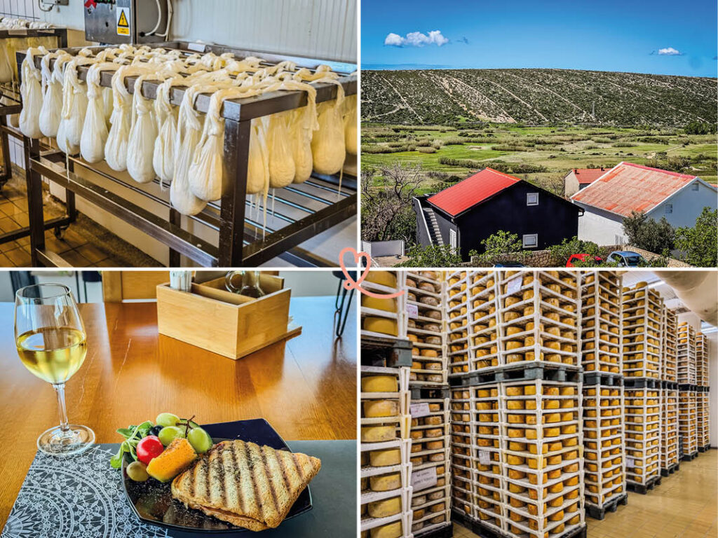 visit-gligora-cheese-dairy-pag